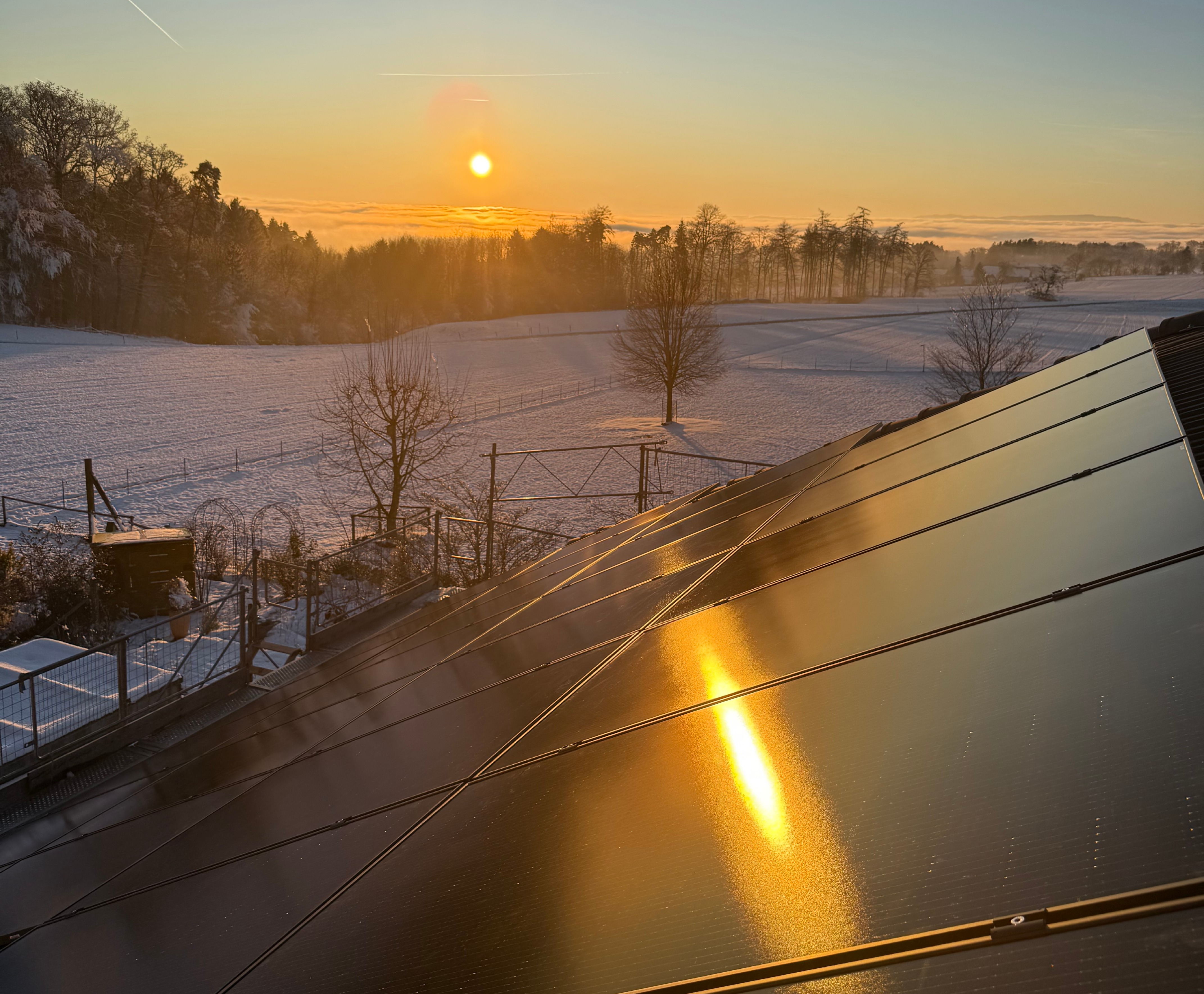 Jenni Daniel - PV Anlage 2_DJ 27.01.25_Zuschnitt.JPG Jenni Daniel - PV Anlage 2_DJ 27.01.25_Zuschnitt