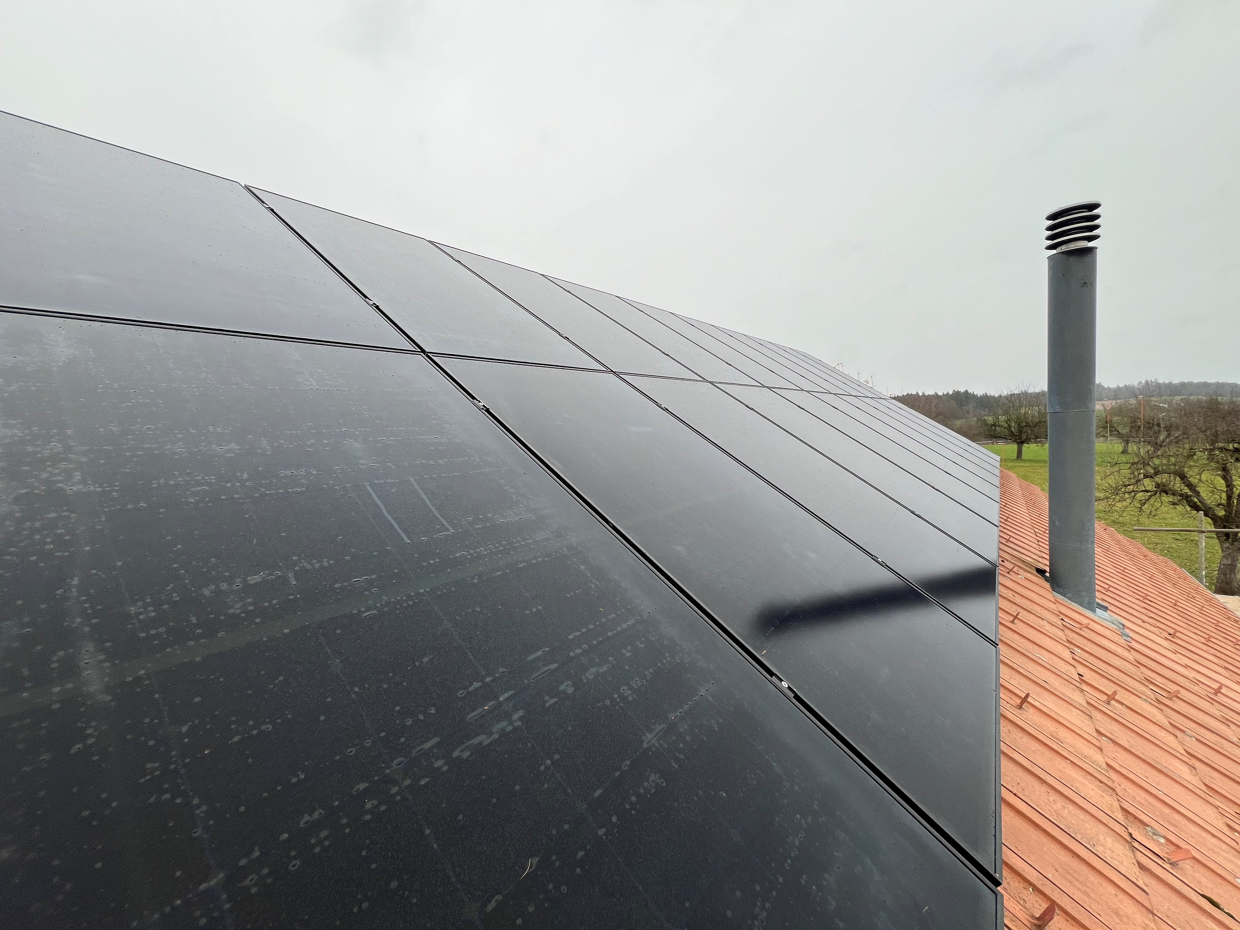 PV Jenni.jpg PV Jenni